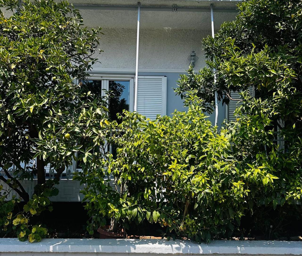 شقة Sotiris Mandarin House دياكوبتو المظهر الخارجي الصورة